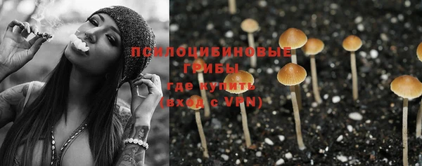 бошки Армянск