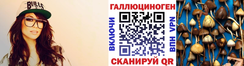 Галлюциногенные грибы мицелий закладки мега ССЫЛКА Суворов